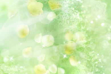 Green Flower Wallpapers   ImgMob