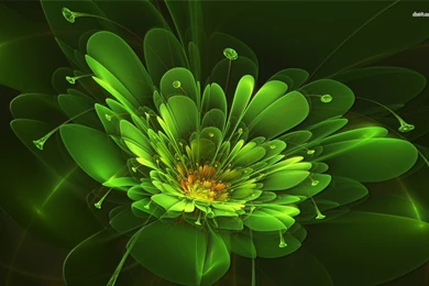 Green Glowing Flower Wallpapers   Digital Art Wallpapers