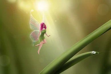 Fairy Wallpapers   Fantasy Wallpapers