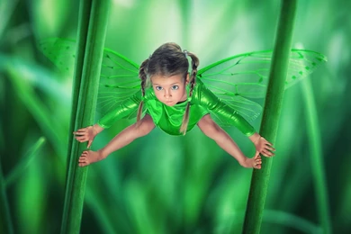 Little Green Fairy Wallpapers And Images   Wallpapers, Pictures ...