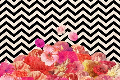 Chevron Flora II Art Print By Bianca Green   Image