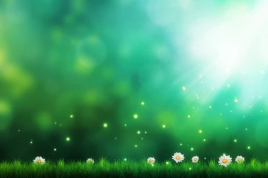 Light & Flowers Computer Wallpapers, Desktop Backgrounds ...