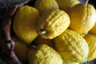 Free Jewish Festival Of Sukkot Computer Desktop Wallpapers