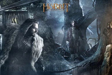 The Hobbit: The Desolation Of Smaug Wallpapers