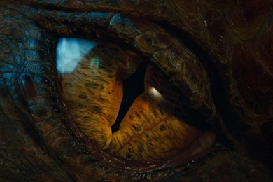 Eye Of The Dragon The Hobbit The Desolation Of Smaug Wallpapers ...