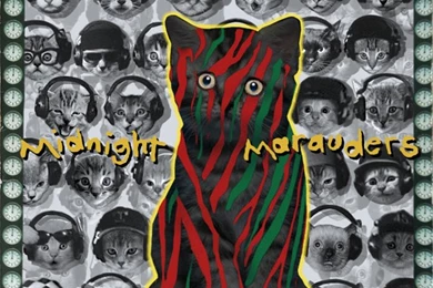 A Tribe Called Kitten   Midnight Meowrauders....   The Kitten Covers