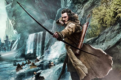 The Hobbit The Desolation Of Smaug (9)