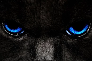 Ipad Hd Retina Wallpapers One 577