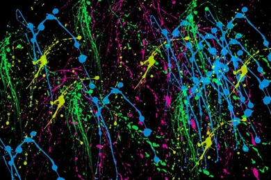 Splatter — Crafthubs