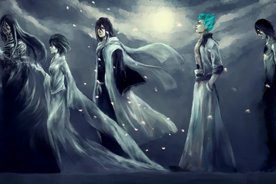 Free Bleach Ichigo Wallpapers HD