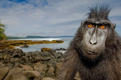 Wallpapers Full Hd 1920 1080 Widescreen Awesome 724   1920 X 1080 ...