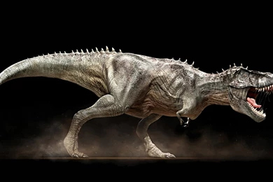 Awesome HD Wallpapers Widescreen