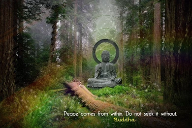 Buddha Wallpapers