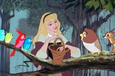 Sleeping Beauty   Sleeping Beauty Wallpapers (16378247)   Fanpop