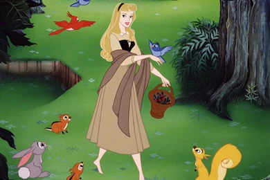 Sleeping Beauty Wallpapers   Sleeping Beauty Wallpapers (6616679 ...