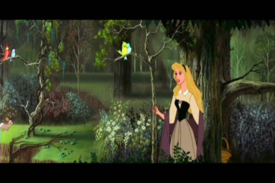 Disney Sleeping Beauty Image Wallpapers For iPhone 6   Cartoons ...