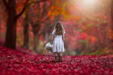 Autumn Girl Alone Wallpapers HD Download Of Lonely Girl