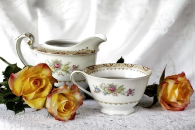 Yellow Roses And Tea Photography Hd Wallpapers 1920×1200 18652 ...