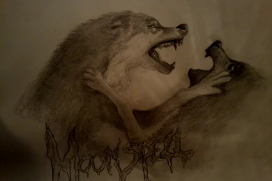 Wolfheart By Dividedmind On DeviantArt