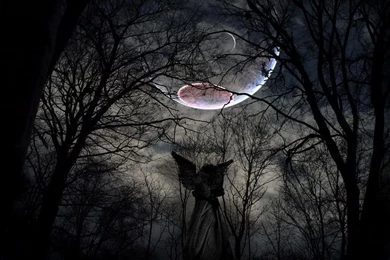 Moon Spell Me Photo By Dj_dreamer