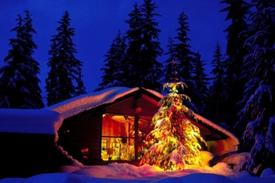 Download Wallpapers Christmas Tree At The Cottage (1366 X 768 ...