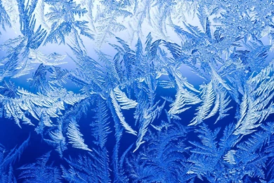 Snowflake 1920x1080 Wallpapers, 1920x1080 Wallpapers & Pictures ...