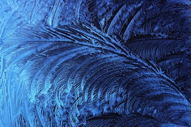 Snowflake 1920x1080 Wallpapers, 1920x1080 Wallpapers & Pictures ...