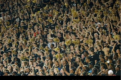 Need Ipad Wallpaper? We've Got One Right Here.