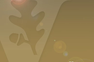 Interactive, Web And Design   VUMC iPhone And iPad Wallpapers