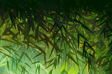 Bamboo Wallpapers >> Backgrounds With Quality HD