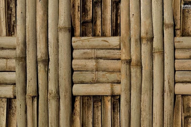 Justpict.com Bamboo Wallpapers For Walls
