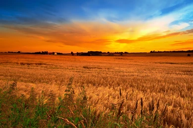 Index Of /main/wp content/uploads/2014/09