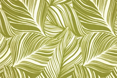 Tommy Bahama Wallpapers