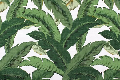 Mad About… Botanics – Mad About The House