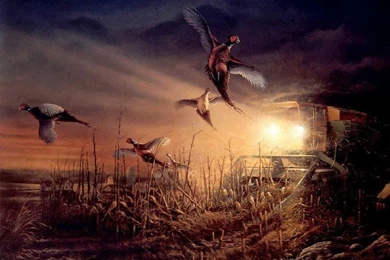 Country Fall Season   (