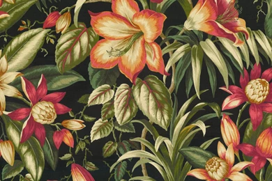 Tommy Bahama Outdoor Fabric  Botanical Glow Ebony