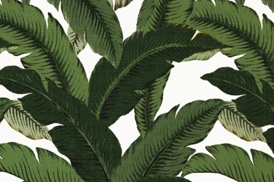 Tommy Bahama Indoor/Outdoor Swaying Palms Aloe   Discount Designer ...