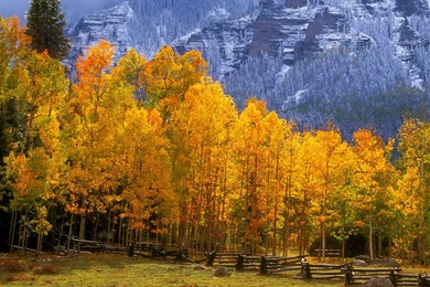 Fall Images Wallpapers   HD Wallpapers And Pictures