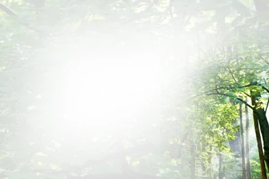 Backgrounds Powerpoint Wallpapers   41658