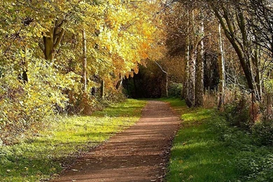 Photo: Country Road In Autumn   Autumn Road 40   Wallcoo.net