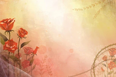 Abstracto Vector Flores Wallpapers