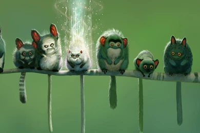 HD Wallpapers: HD Wallpapers 1920 X 1080 HD   18