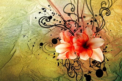 The Best Flower Wallpapers Flores Wallpapers Fondos De Pantallas ...