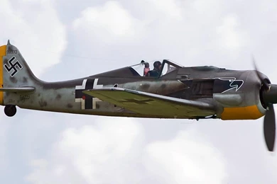 FOCKE WULF FW 190 WALLPAPER   (