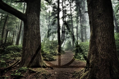 Harry Potter Deathly Hallows Wallpapers By NIHILUSDESIGNS On DeviantArt