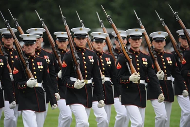 Us Marines 43 Backgrounds Wallpapers   Hivewallpaper.com