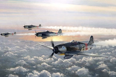 フォッケウルフ190 : ホシクサとクリプトコリネとカレーライスなお話