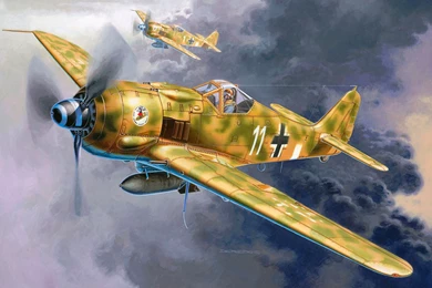 World War II, Fw 190, Focke Wulf, Luftwaffe, Germany, Military ...