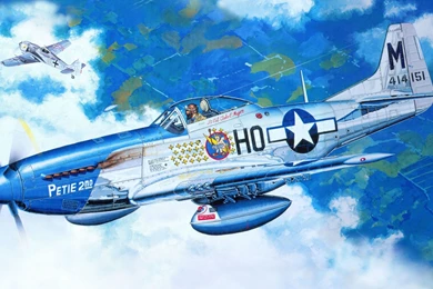 Download Wallpapers P 51d, Mustang, Fw 190, Dogfight, Drawing ...