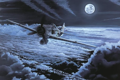 Military: Midnight Patrol Painting Wulf Focke German Ww2 190 ...